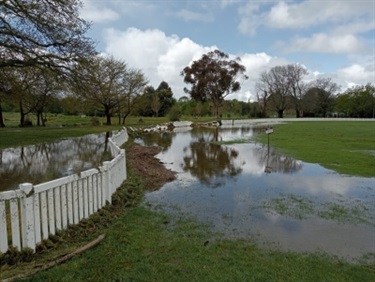 Flood impacts - Malmsbury Cricket Club - 2.jpg