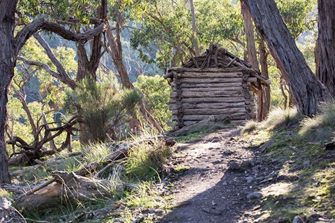 Conglomerate Gully Reserve